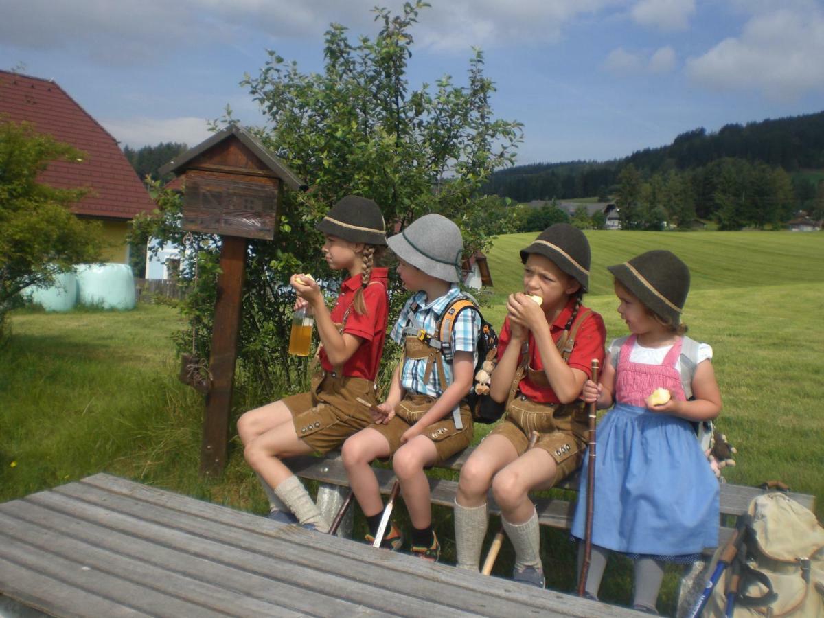 Urlaub Am Bauernhof Grabenhofer Sankt Jakob im Walde Exterior foto
