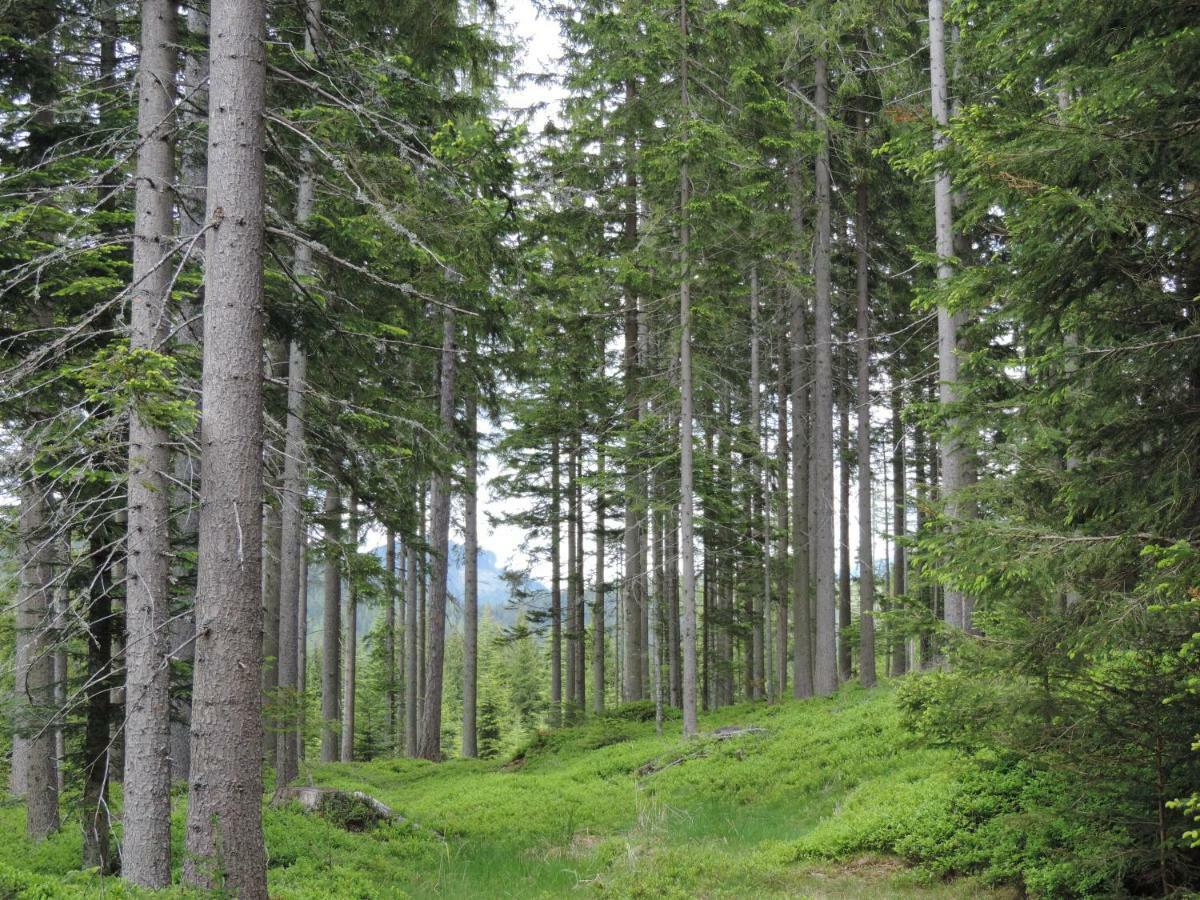 Urlaub Am Bauernhof Grabenhofer Sankt Jakob im Walde Exterior foto