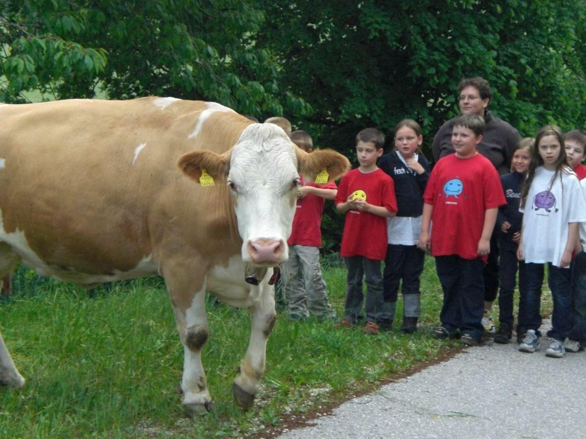 Urlaub Am Bauernhof Grabenhofer Sankt Jakob im Walde Exterior foto