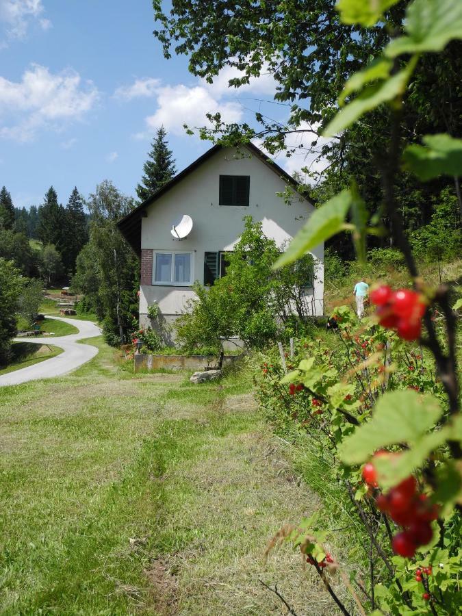 Urlaub Am Bauernhof Grabenhofer Sankt Jakob im Walde Exterior foto