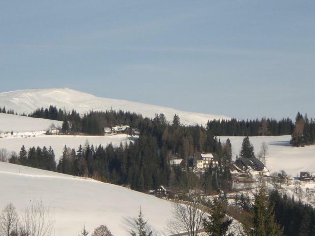 Urlaub Am Bauernhof Grabenhofer Sankt Jakob im Walde Exterior foto