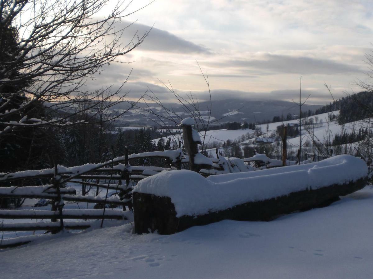Urlaub Am Bauernhof Grabenhofer Sankt Jakob im Walde Exterior foto