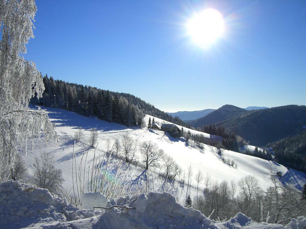 Urlaub Am Bauernhof Grabenhofer Sankt Jakob im Walde Exterior foto